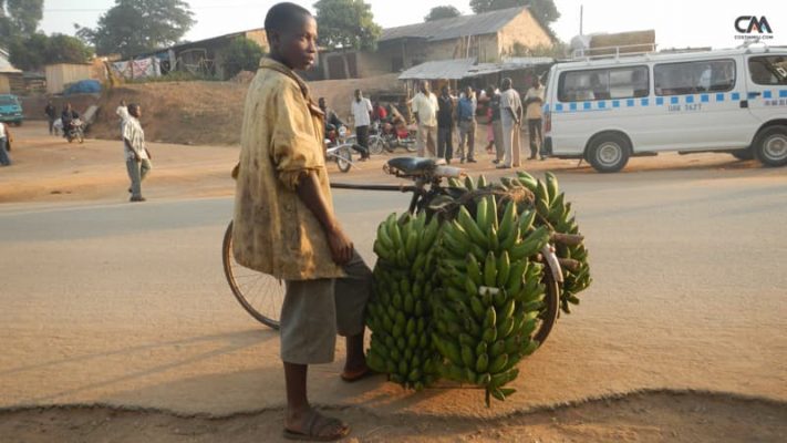 vânzător de banane în uganda, rwenzori mt.